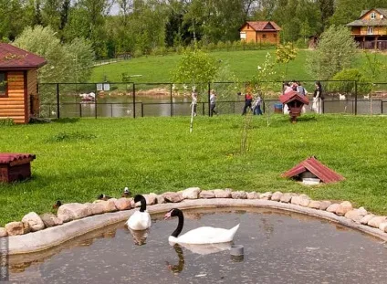 Калузька область і її головні пам'ятки з описом і фото (область) Калузька область і її головні пам'ятки з описом і фото