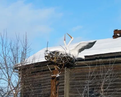 Калузька область і її головні пам'ятки з описом і фото (фото) Калузька область і її головні пам'ятки з описом і фото