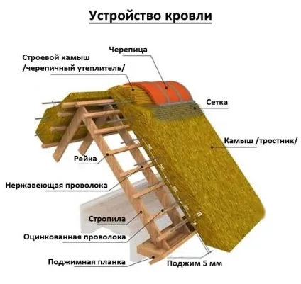 очеретяний дах