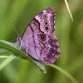 До чого сниться колодязь сонник колодязь приснився уві сні (чого сниться колодязь) До чого сниться колодязь сонник колодязь приснився уві сні