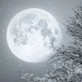 До чого сниться осінь, сонник осінь золота уві сні (золота) До чого сниться осінь, сонник осінь золота уві сні