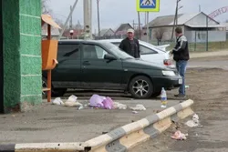 Вадинськ вести - газета Вадинськ району, офіційний сайт - «дивовижна» картина! Як ти не мила ...