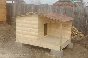 Утеплення будки для собаки вимоги до теплоізоляції
