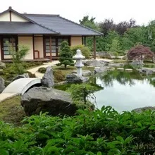 Китайський сад фото і відео китайського стилю в ландшафтному дизайні (фото) Китайський сад фото і відео китайського стилю в ландшафтному дизайні