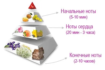 Класифікація парфумерії, групи ароматів, ноти, що таке parfum, edp, edt, edc, fl oz (ноти) Класифікація парфумерії, групи ароматів, ноти, що таке parfum, edp, edt, edc, fl oz