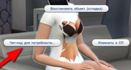 Коди на Сімс 4 на потреби - як відключити потреби в Сімс 4 назавжди (Сімс) Коди на Сімс 4 на потреби - як відключити потреби в Сімс 4 назавжди