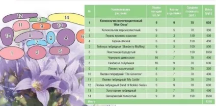 Дзвіночок багаторічний в вашому саду (одних тільки дзвіночків) Дзвіночок багаторічний в вашому саду