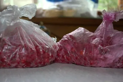 Коли збирати калину для заготовок на зиму поради фахівців