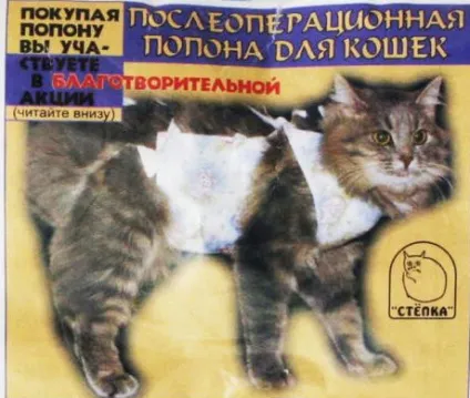 Коли каструвати кота