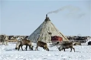 корінні народи