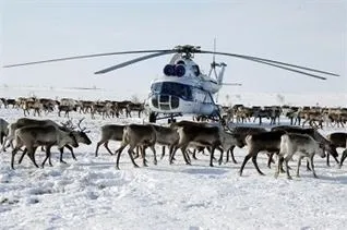 корінні народи