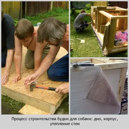Буда для собаки своїми руками покрокові інструкції, креслення, як утеплити будку на зиму з відео