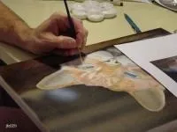 Кішка Джафа (малювання вовни) - уроки аерографії - аерографія для всіх (аерографії) Кішка Джафа (малювання вовни) - уроки аерографії - аерографія для всіх
