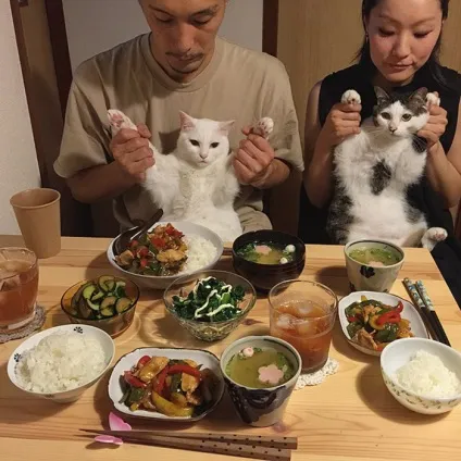 Коти стежать за тобою (фото) () Коти стежать за тобою (фото)