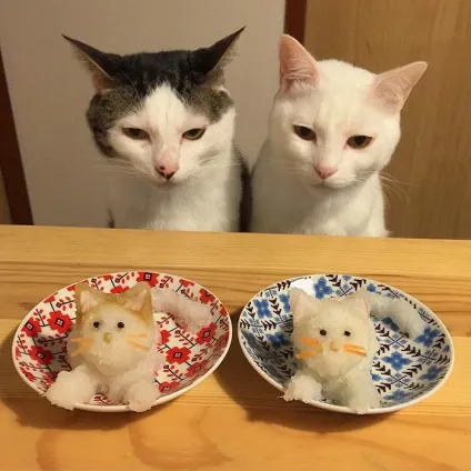 Коти стежать за тобою (фото) () Коти стежать за тобою (фото)