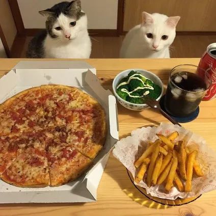 Коти стежать за тобою (фото) () Коти стежать за тобою (фото)