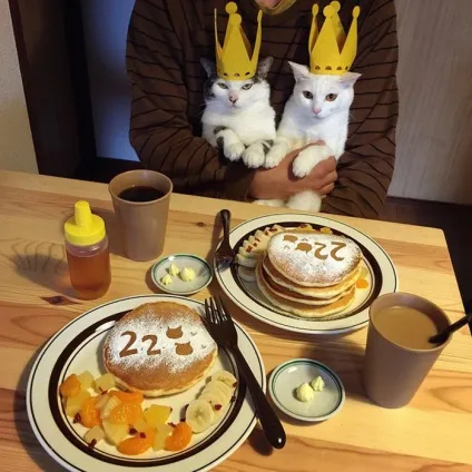 Коти стежать за тобою (фото) () Коти стежать за тобою (фото)