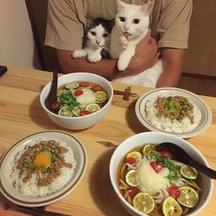 Коти стежать за тобою (фото) () Коти стежать за тобою (фото)