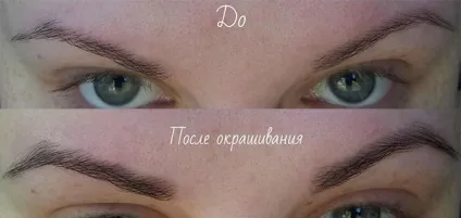 Фарба для брів і вій РоКОЛОР відгуки та фото до і після фарбування (фарба) Фарба для брів і вій РоКОЛОР відгуки та фото до і після фарбування