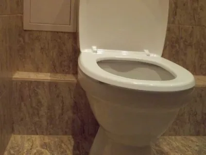 Кришка для унітазу