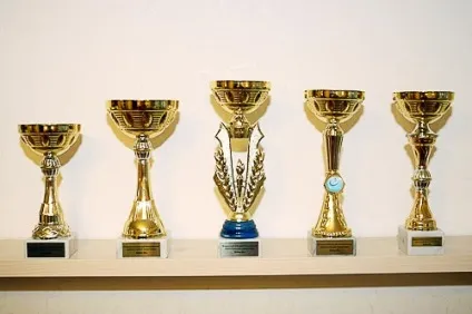 Кубки для призерів і лауреатів (досягнення наприклад місце олімпіаді) Кубки для призерів і лауреатів