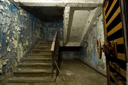 Куди на зиму ховаються комарі цікаві факти з життя комах