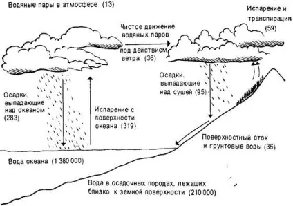 Кругообіг води і значення гідросфери - студопедія (гідросфери) Кругообіг води і значення гідросфери - студопедія