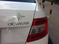 Купити вінілові наклейки на авто машину з розділу кішки - від 40 р (купити) Купити вінілові наклейки на авто машину з розділу кішки - від 40 р