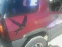 Купити вінілові наклейки на авто машину з розділу кішки - від 40 р (глянсова) Купити вінілові наклейки на авто машину з розділу кішки - від 40 р