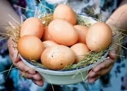 Куряче філе в клярі калорійність (клярі) Куряче філе в клярі калорійність
