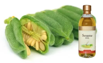 Кунжутне масло користь і шкода, як приймати, протипоказання (масло) Кунжутне масло користь і шкода, як приймати, протипоказання