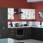 Кухні з фотодруком на фасадах фото гарнітурів із зображеннями (зображеннями) Кухні з фотодруком на фасадах фото гарнітурів з зображеннями