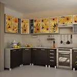 Кухні з малюнком або фотодруком на фасадах фото прикладів розпису, виготовлення своїми руками (малюнком) Кухні з малюнком або фотодруком на фасадах фото прикладів розпису, виготовлення своїми руками
