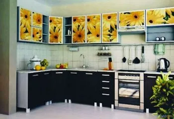 Кухні з фотодруком на фасадах (45 фото) інструкція по установці кухонних фасадних елементів своїми (кухні з фотодруком на фасадах кухонні інструкція) Кухні з фотодруком на фасадах (45 фото) інструкція по установці кухонних фасадних елементів своїми