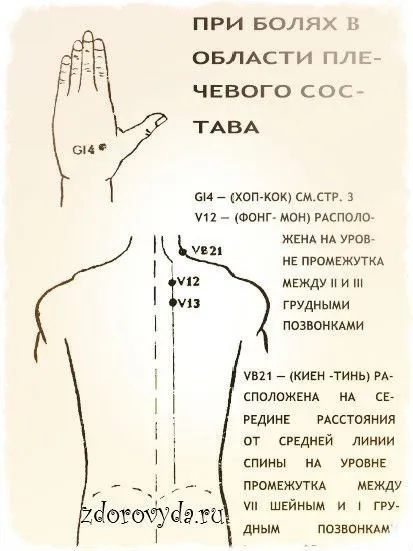 Лікування бальзамом - зірочка, правила здоров'я і довголіття (бальзам зірочка) Лікування бальзамом - зірочка, правила здоров'я і довголіття