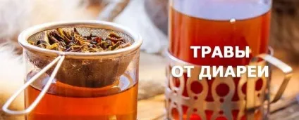 Лікувальні трави для лікування проносу - рецепти народної медицини (рецепти) Лікувальні трави для лікування проносу - рецепти народної медицини