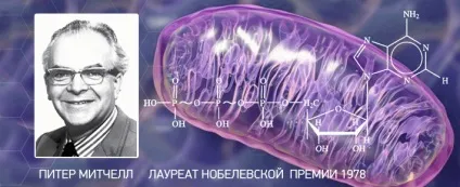 Лікувальні властивості водню і його значення (значення) Лікувальні властивості водню і його значення