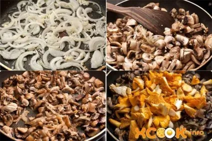 Лазанья з грибами - рецепт приготування в домашніх умовах (рецепт лазаньї домашніх умовах грибами) Лазанья з грибами - рецепт приготування в домашніх умовах
