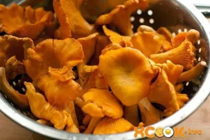 Лазанья з грибами - рецепт приготування в домашніх умовах (рецепт) Лазанья з грибами - рецепт приготування в домашніх умовах