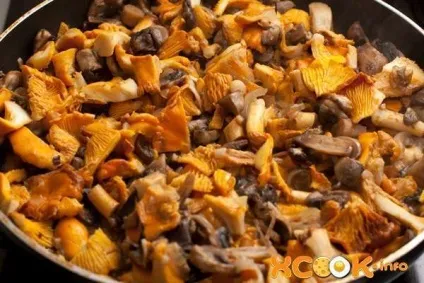 Лазанья з грибами - рецепт приготування в домашніх умовах (рецепт лазаньї домашніх умовах грибами) Лазанья з грибами - рецепт приготування в домашніх умовах