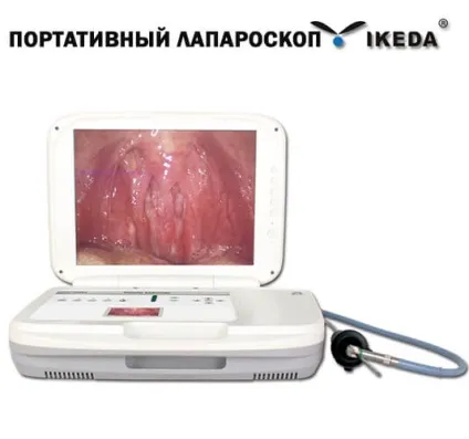 лапароскопія кішок
