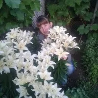 Лікування яєчною шкаралупою, в т (яєчної) Лікування яєчною шкаралупою, в т