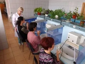 Лікування, санаторій Місхор (лікування) Лікування, санаторій Місхор