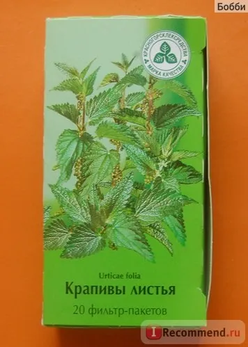Лікарські рослини кропиви листя - «як ополіскування кропивою може нашкодити волоссю жіноче (листя) Лікарські рослини кропиви листя - «як ополіскування кропивою може нашкодити волоссю жіноче