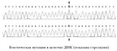 Лікування імпульсним електромагнітним полем - студопедія (студопедія) Лікування імпульсним електромагнітним полем - студопедія