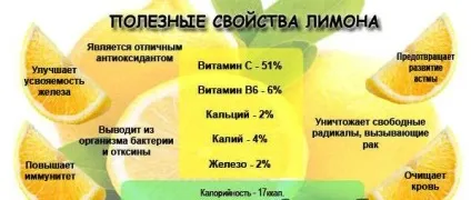 Лимон при грудному вигодовуванні за і проти (проти) Лимон при грудному вигодовуванні за і проти