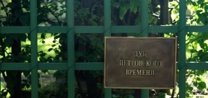 Літній сад пам'ятка Харкова опис, фото, на карті, режим роботи, ціни