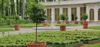 Літній сад пам'ятка Харкова опис, фото, на карті, режим роботи, ціни