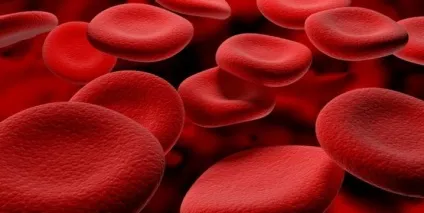 Лікування простатиту п'явками куди їх ставити по 2 схемами лікування