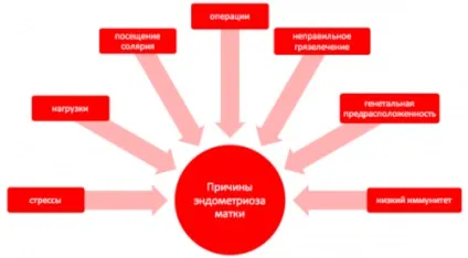 Лікування міоми ефективними народними засобами, рецепти які допомогли (вузлова) Лікування міоми ефективними народними засобами, рецепти які допомогли